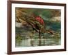 Spinosaurus Was a Large Theropod Dinosaur from the Cretaceous Period-null-Framed Art Print