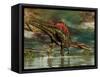 Spinosaurus Was a Large Theropod Dinosaur from the Cretaceous Period-null-Framed Stretched Canvas