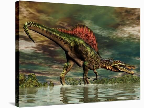 Spinosaurus Was a Large Theropod Dinosaur from the Cretaceous Period-null-Stretched Canvas