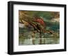 Spinosaurus Was a Large Theropod Dinosaur from the Cretaceous Period-null-Framed Art Print