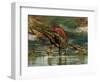 Spinosaurus Was a Large Theropod Dinosaur from the Cretaceous Period-null-Framed Art Print