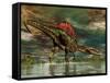 Spinosaurus Was a Large Theropod Dinosaur from the Cretaceous Period-null-Framed Stretched Canvas