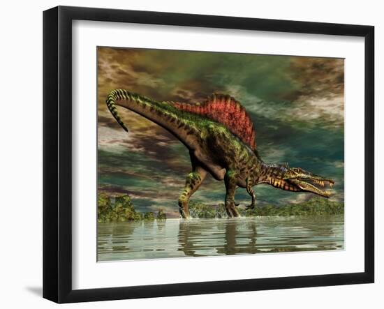 Spinosaurus Was a Large Theropod Dinosaur from the Cretaceous Period-null-Framed Art Print