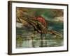 Spinosaurus Was a Large Theropod Dinosaur from the Cretaceous Period-null-Framed Art Print