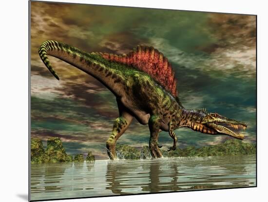 Spinosaurus Was a Large Theropod Dinosaur from the Cretaceous Period-null-Mounted Art Print