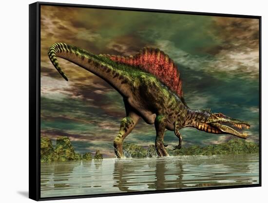 Spinosaurus Was a Large Theropod Dinosaur from the Cretaceous Period-null-Framed Stretched Canvas