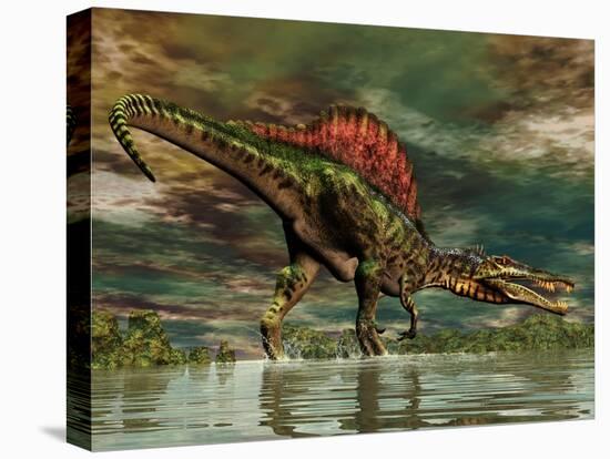 Spinosaurus Was a Large Theropod Dinosaur from the Cretaceous Period-null-Stretched Canvas