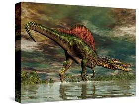 Spinosaurus Was a Large Theropod Dinosaur from the Cretaceous Period-null-Stretched Canvas