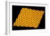 Spintronics Research, STM-A. Yazdani and D.J. Hornbaker-Framed Photographic Print