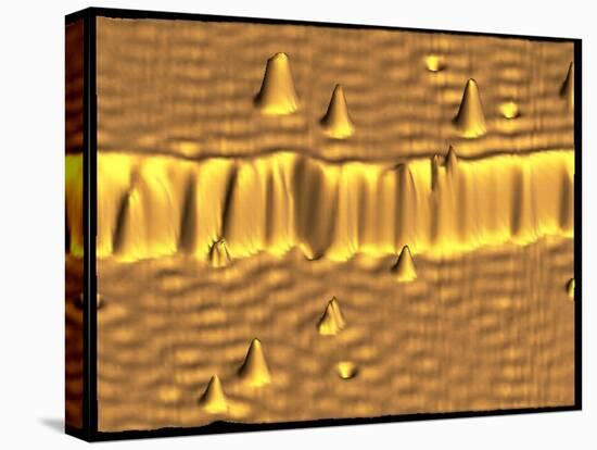 Spintronics Research, STM-A. Yazdani and D.J. Hornbaker-Stretched Canvas