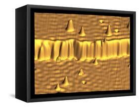 Spintronics Research, STM-A. Yazdani and D.J. Hornbaker-Framed Stretched Canvas