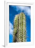 Spiny Cactus Growing on Aruba Viewed Low Angle close up against a Cloudy Blue Sunny Summer Sky-PlusONE-Framed Photographic Print