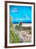Spiny Cactus Growing on the Seashore in Aruba Perfectly Adapted with their Leafless Stems to the Ar-PlusONE-Framed Photographic Print