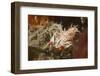 Spiny Tiger Shrimp-Hal Beral-Framed Photographic Print