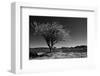 Spiny Tree-Nish Nalbandian-Framed Art Print