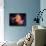 Spiral Galaxy In A Dark Space, Abstract Background-molodec-Framed Photographic Print displayed on a wall