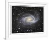 Spiral Galaxy in Antlia-Robert Gendler-Framed Giclee Print