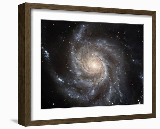 Spiral Galaxy M101-null-Framed Photographic Print