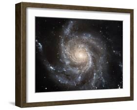 Spiral Galaxy M101-null-Framed Photographic Print