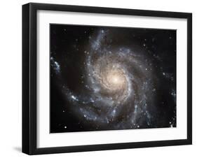 Spiral Galaxy M101-null-Framed Photographic Print