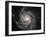 Spiral Galaxy M101-null-Framed Photographic Print