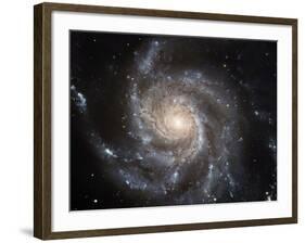 Spiral Galaxy M101-null-Framed Photographic Print