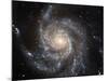 Spiral Galaxy M101-null-Mounted Photographic Print