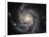 Spiral Galaxy M101-null-Framed Photographic Print