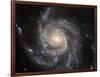 Spiral Galaxy M101-null-Framed Photographic Print