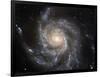 Spiral Galaxy M101-null-Framed Photographic Print