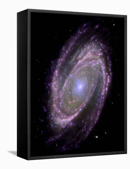 Spiral Galaxy M81, Composite Image-null-Framed Stretched Canvas