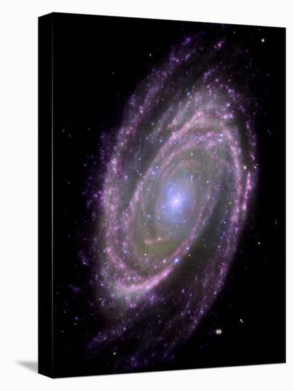 Spiral Galaxy M81, Composite Image-null-Stretched Canvas