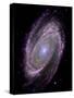 Spiral Galaxy M81, Composite Image-null-Stretched Canvas