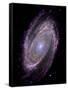 Spiral Galaxy M81, Composite Image-null-Framed Stretched Canvas