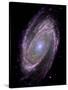 Spiral Galaxy M81, Composite Image-null-Stretched Canvas