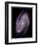 Spiral Galaxy M81, Composite Image-null-Framed Premium Photographic Print