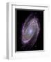 Spiral Galaxy M81, Composite Image-null-Framed Premium Photographic Print