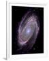 Spiral Galaxy M81, Composite Image-null-Framed Premium Photographic Print