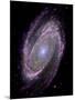 Spiral Galaxy M81, Composite Image-null-Mounted Premium Photographic Print