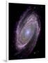 Spiral Galaxy M81, Composite Image-null-Framed Photographic Print