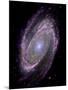 Spiral Galaxy M81, Composite Image-null-Mounted Photographic Print