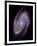 Spiral Galaxy M81, Composite Image-null-Framed Photographic Print