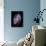 Spiral Galaxy M81, Composite Image-null-Photographic Print displayed on a wall