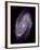 Spiral Galaxy M81, Composite Image-null-Framed Photographic Print