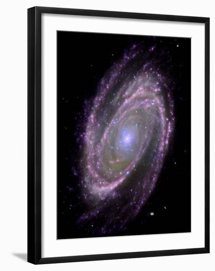 Spiral Galaxy M81, Composite Image-null-Framed Photographic Print