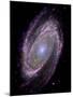 Spiral Galaxy M81, Composite Image-null-Mounted Photographic Print