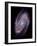 Spiral Galaxy M81, Composite Image-null-Framed Photographic Print