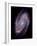 Spiral Galaxy M81, Composite Image-null-Framed Photographic Print