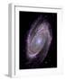 Spiral Galaxy M81, Composite Image-null-Framed Photographic Print