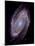 Spiral Galaxy M81, Composite Image-null-Mounted Photographic Print